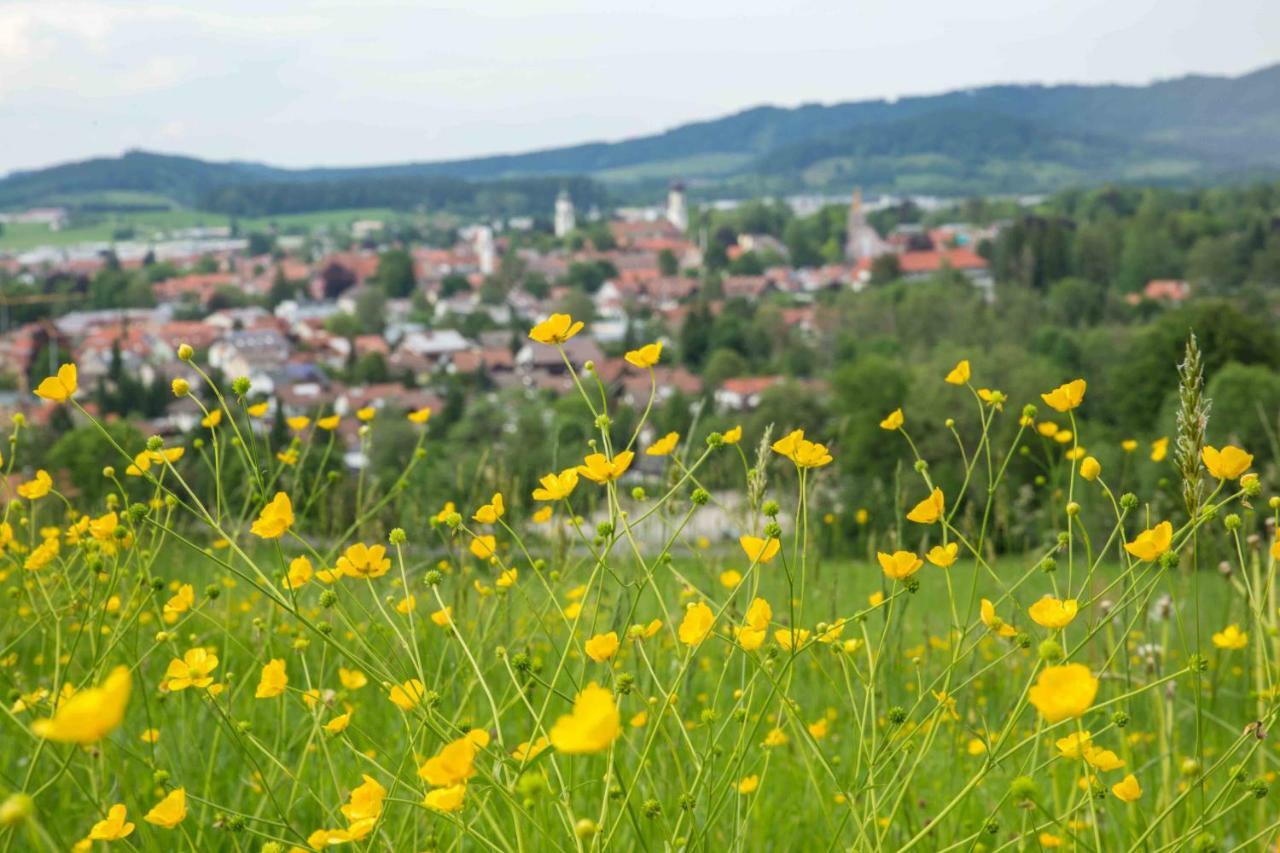 Eistobel Und Felderhalde Isny im Allgäu Exterior foto